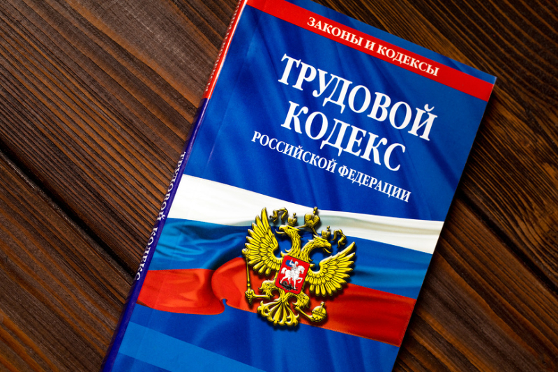 Отпуск инвалидов, борьба с долгами по зарплате и другие поправки к ТК РФ: проект прошел Госдуму