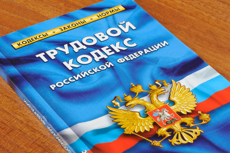 Отпуск инвалидов, борьба с долгами по зарплате и другие поправки к ТК РФ: закон опубликован